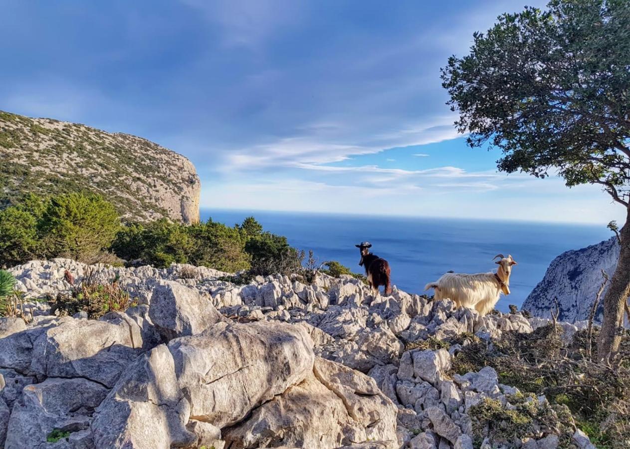 Appartamento Tra Mare E Montagna Baunei Luaran gambar
